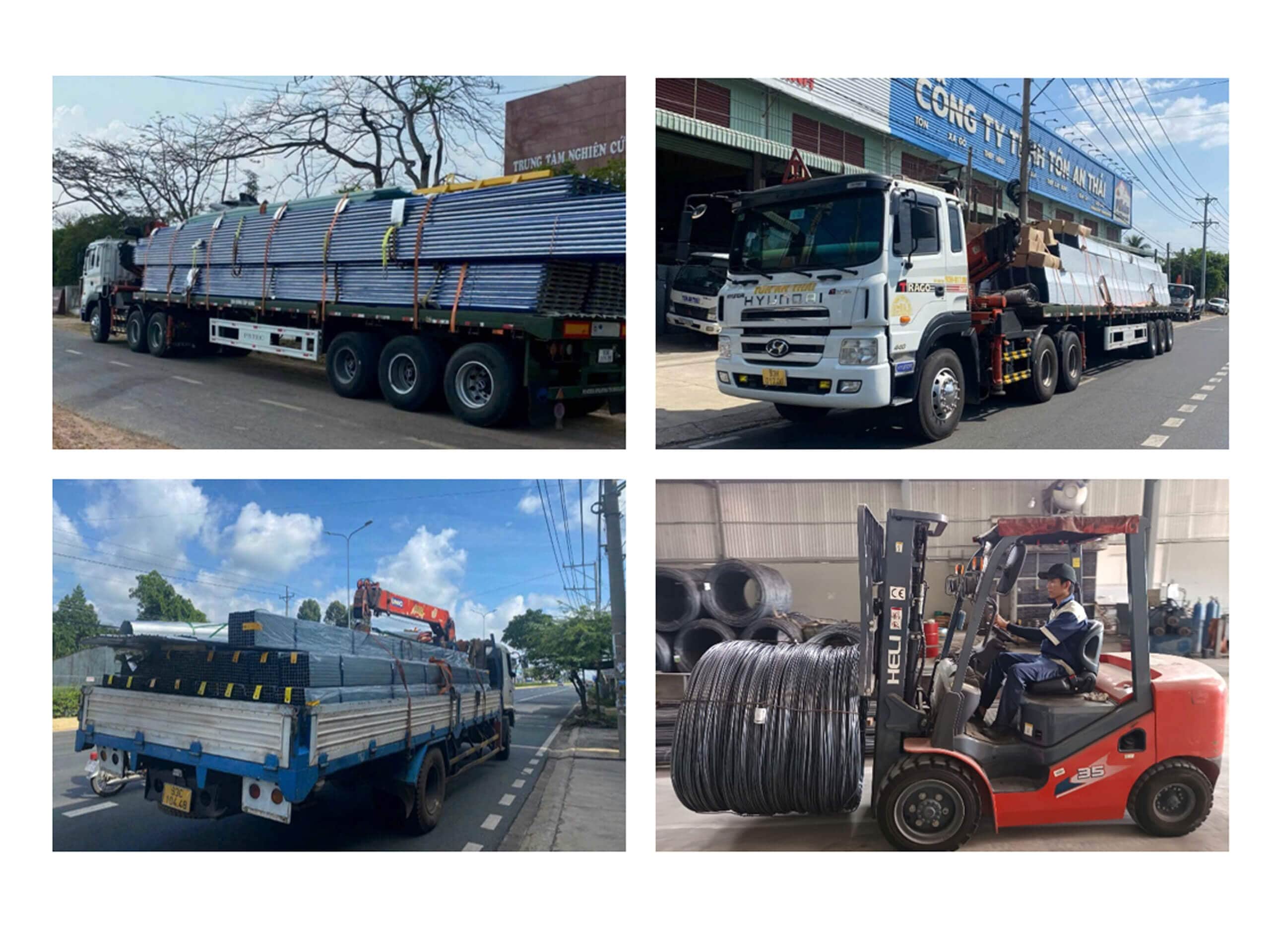 Về dự án của Tôn An Thái