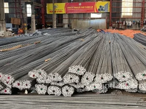 Thép D10 Việt Nhật CB240T 3