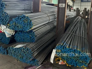Thép D20 Việt Nhật CB300 1