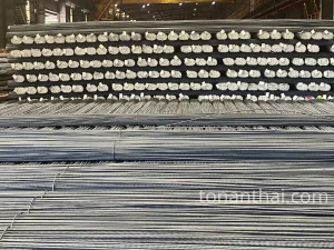 Thép D20 Việt Nhật CB300 3