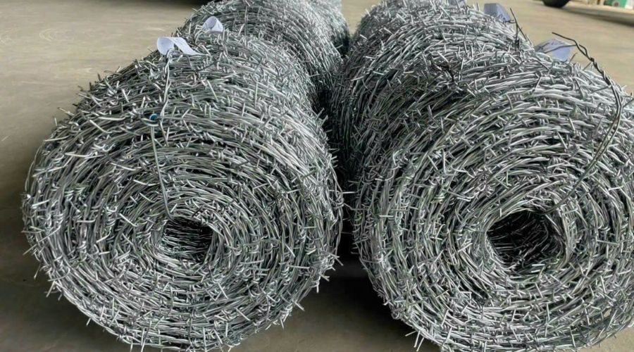 Kẽm gai có khả năng chống oxy hoá