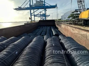 Thép D10 Hòa Phát CB240T 3