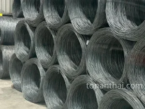 Thép D10 Hòa Phát GR40 2