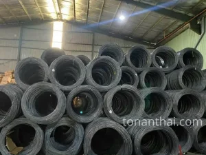 Thép D20 Hòa Phát CB300 1