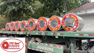 Đại lý Tôn TVP tại Bình Dương